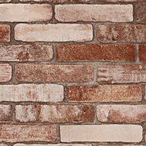 Brick Wall Terracotta
