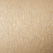 Copper Brushed