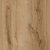 Tribute Oak