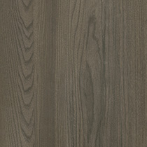 Michigan Elm