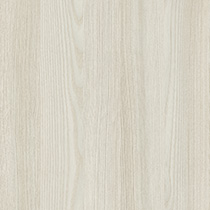 Bergen Ash