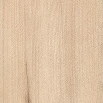 Essential Light Beech
