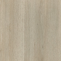 Sunday Oak