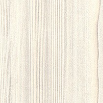 Tauern Larch