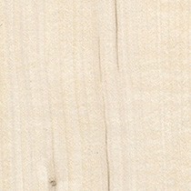 Visby Maple