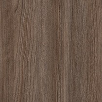 Novara Elm