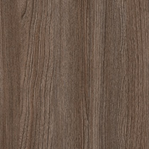Novara Elm