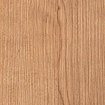 Amarena Cherry