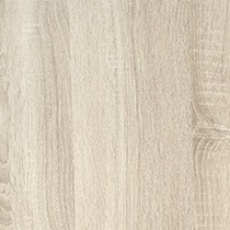 Solano Oak