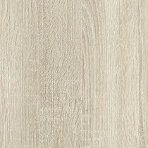 Solano Oak