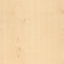 Ottawa Maple