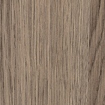 Magas Oak