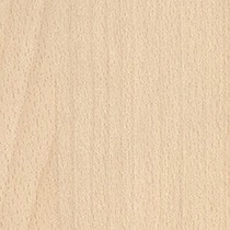 Platin Beech