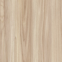 Ventura Elm