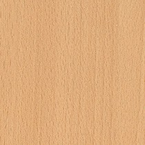 Global Beech