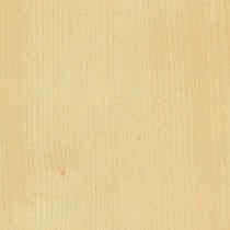 Ambient Maple