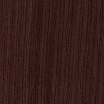 Concept Oak