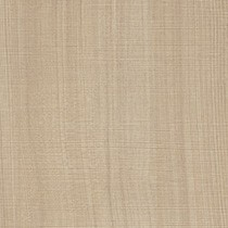 Soft Elm