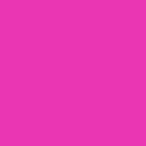 Rose Indien