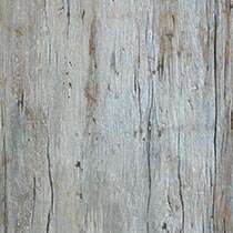 Antique Wood