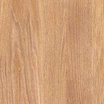 Apricot Alona