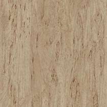 Birdseye Birch