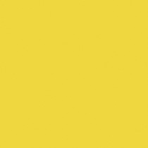 Zeste de Citron