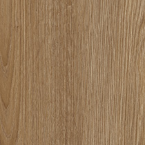 Birnam Oak