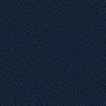 Midnight Blue