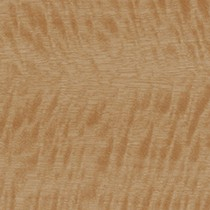 Golden Satinwood