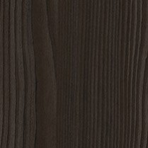 European Larch