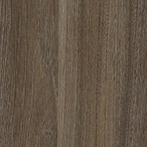 Swiss Elm