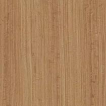 Amber Eucalyptus