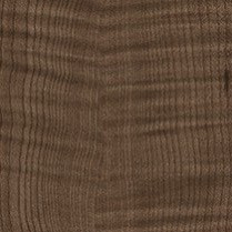 Plantation Sycamore