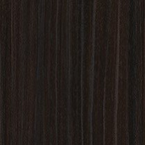 Sonoran Ironwood