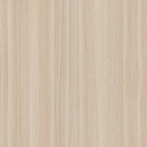 American Chestnut