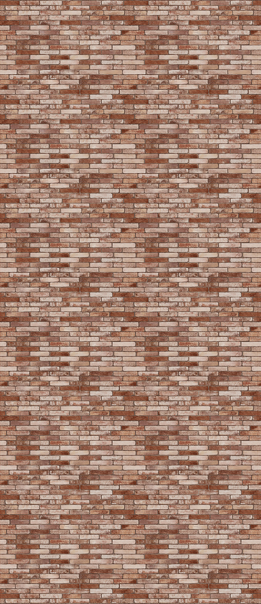 Brick Wall Terracotta
