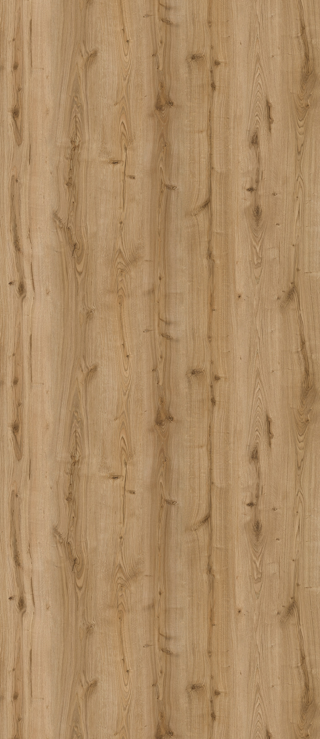 Tribute Oak
