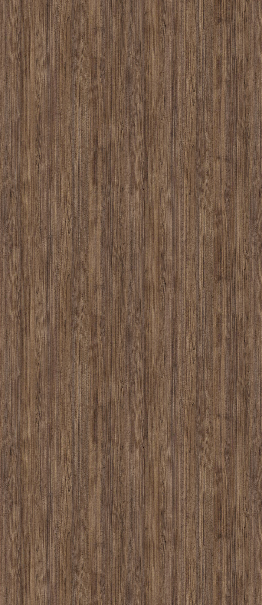 Brera Walnut