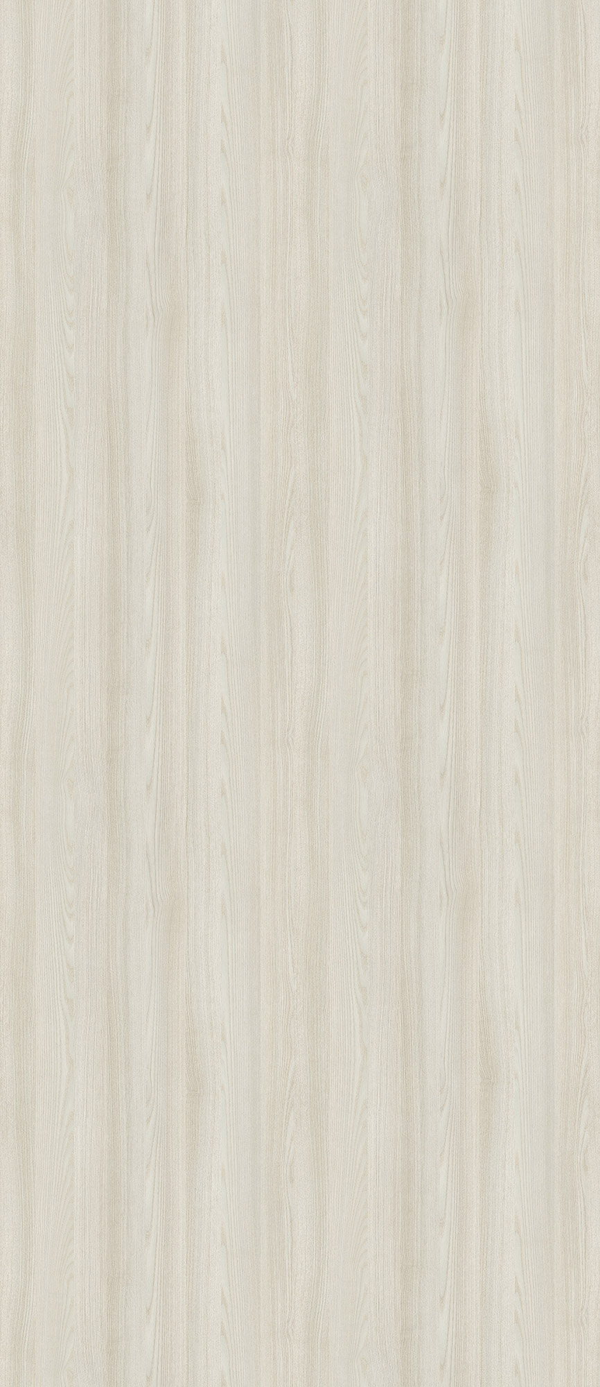 Bergen Ash
