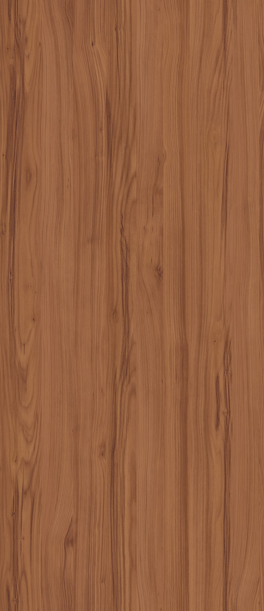 Piave Cherry