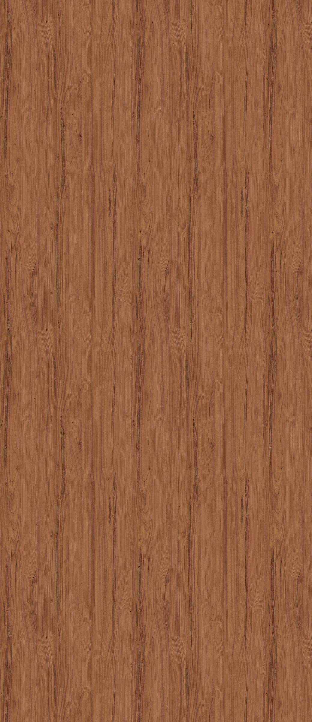 Piave Cherry