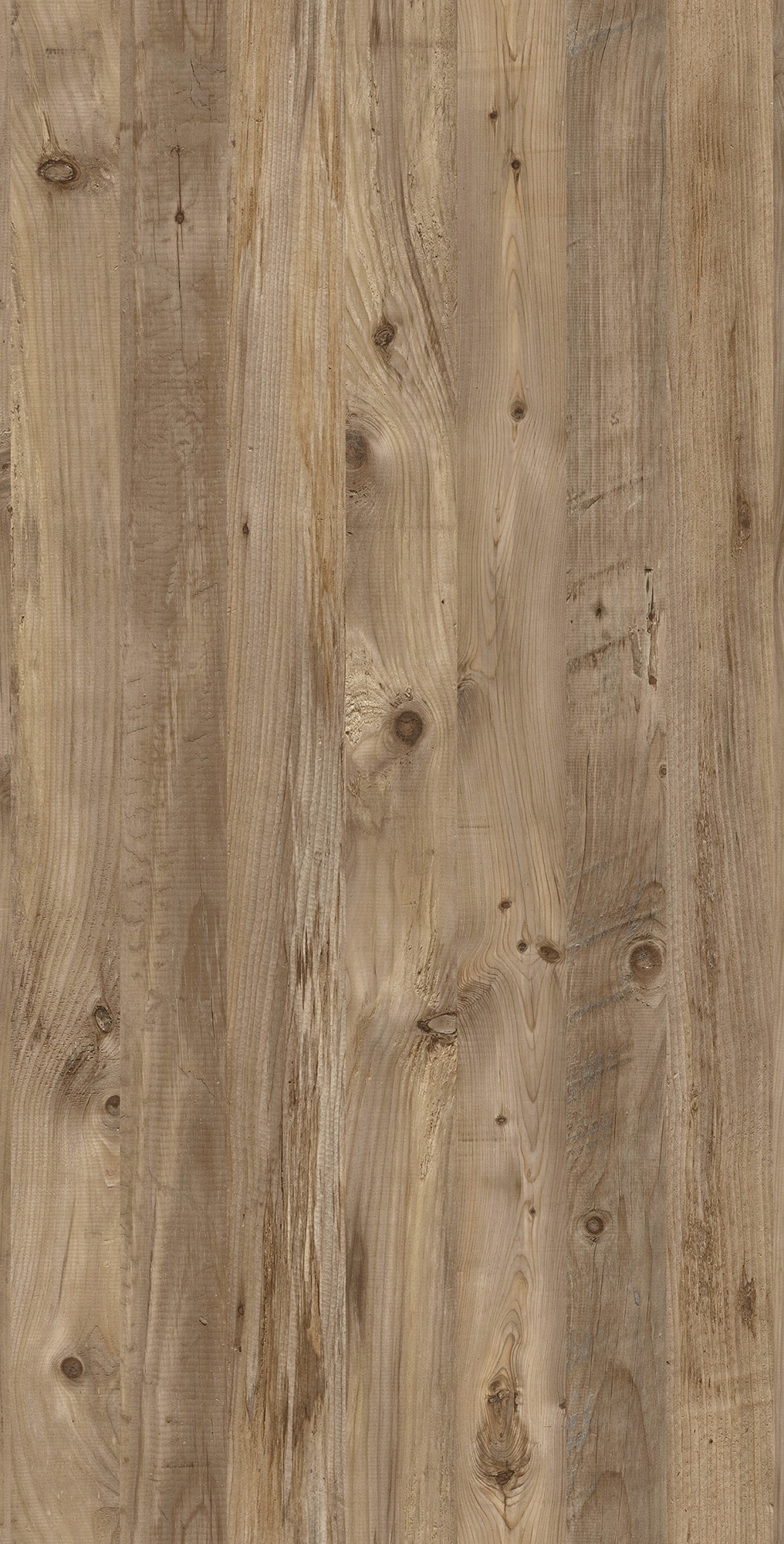Mississippi Pine