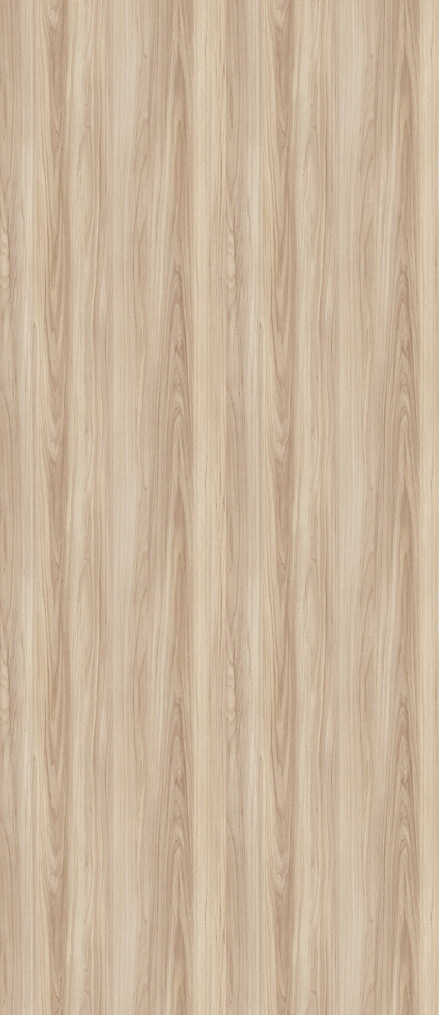 Ventura Elm