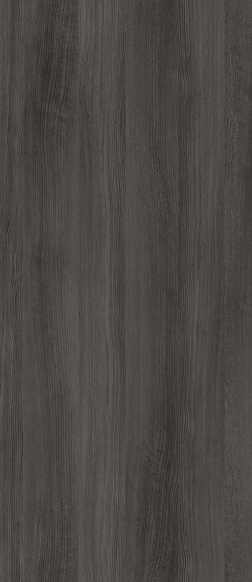 Silver Pine