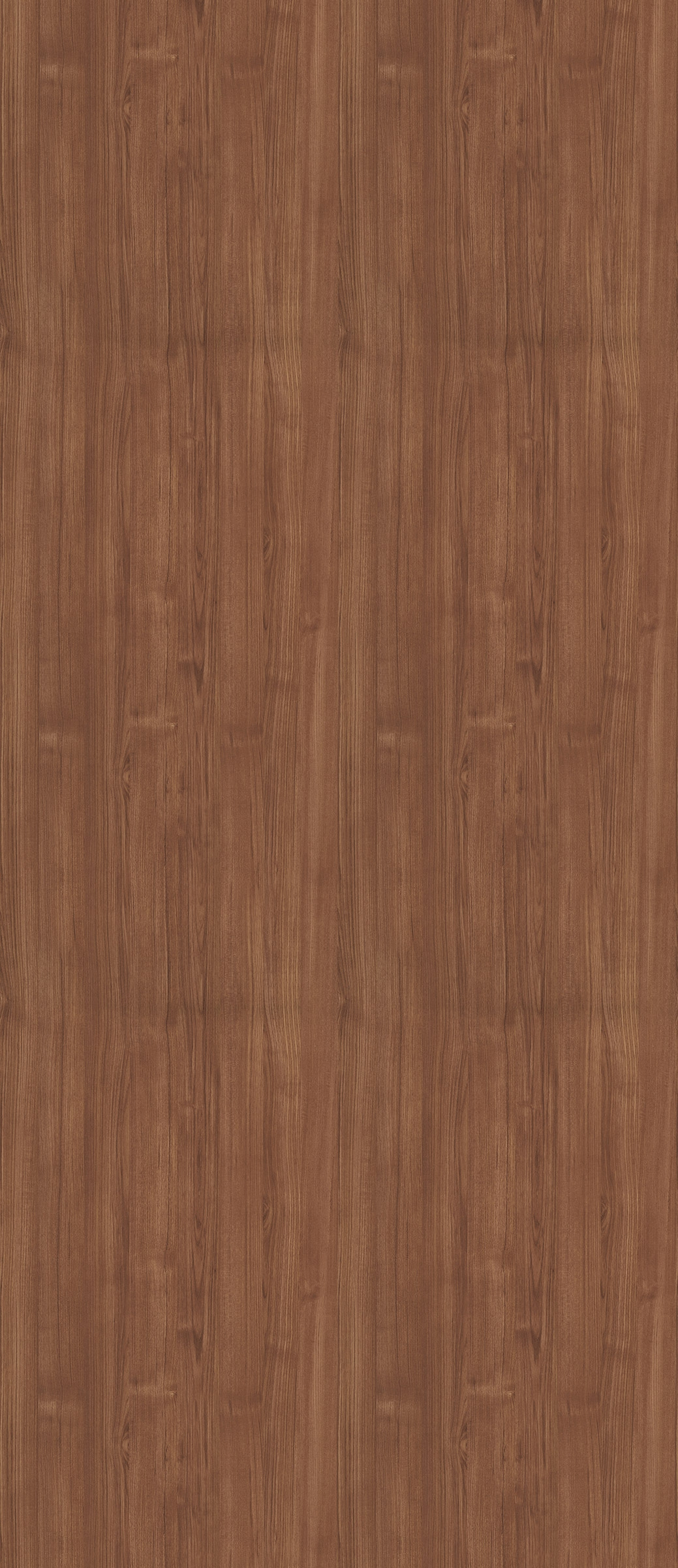 Sun Teak