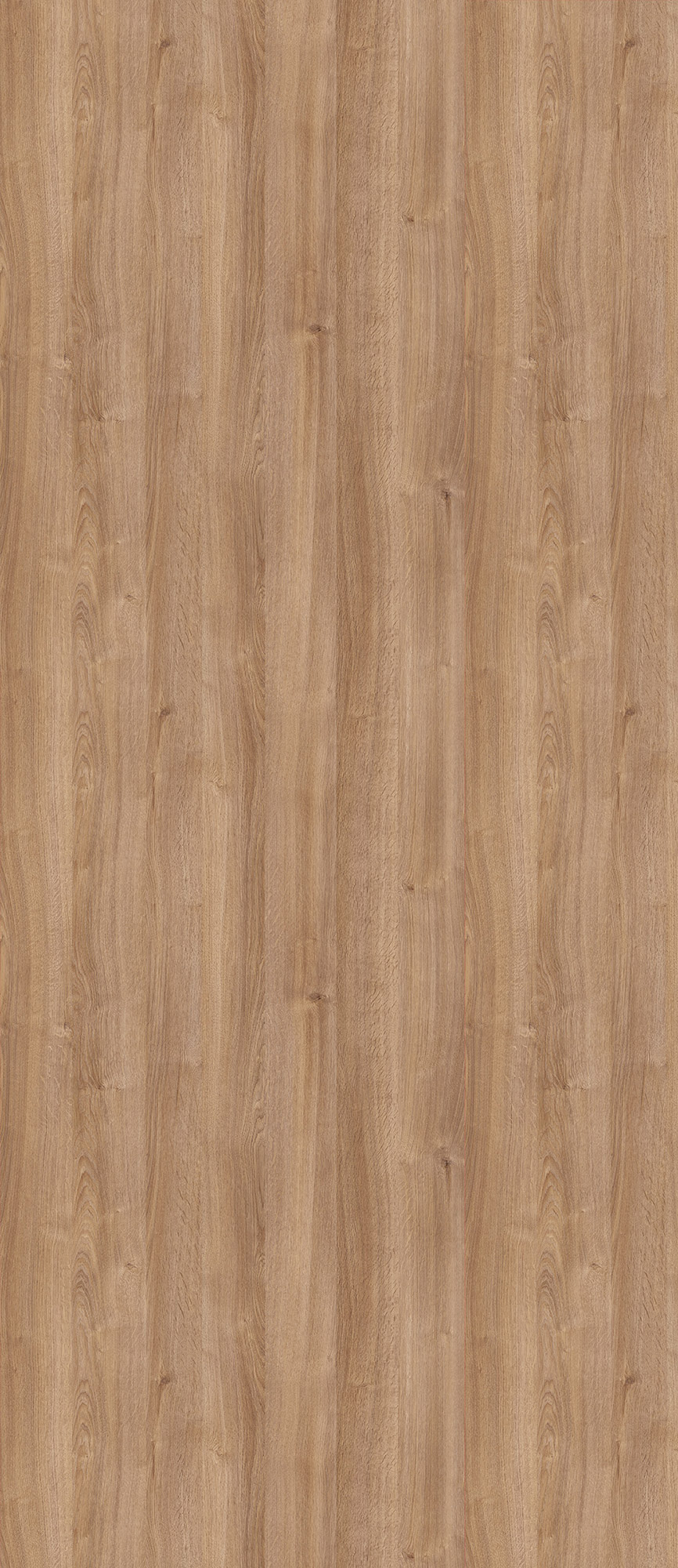 Meran Oak