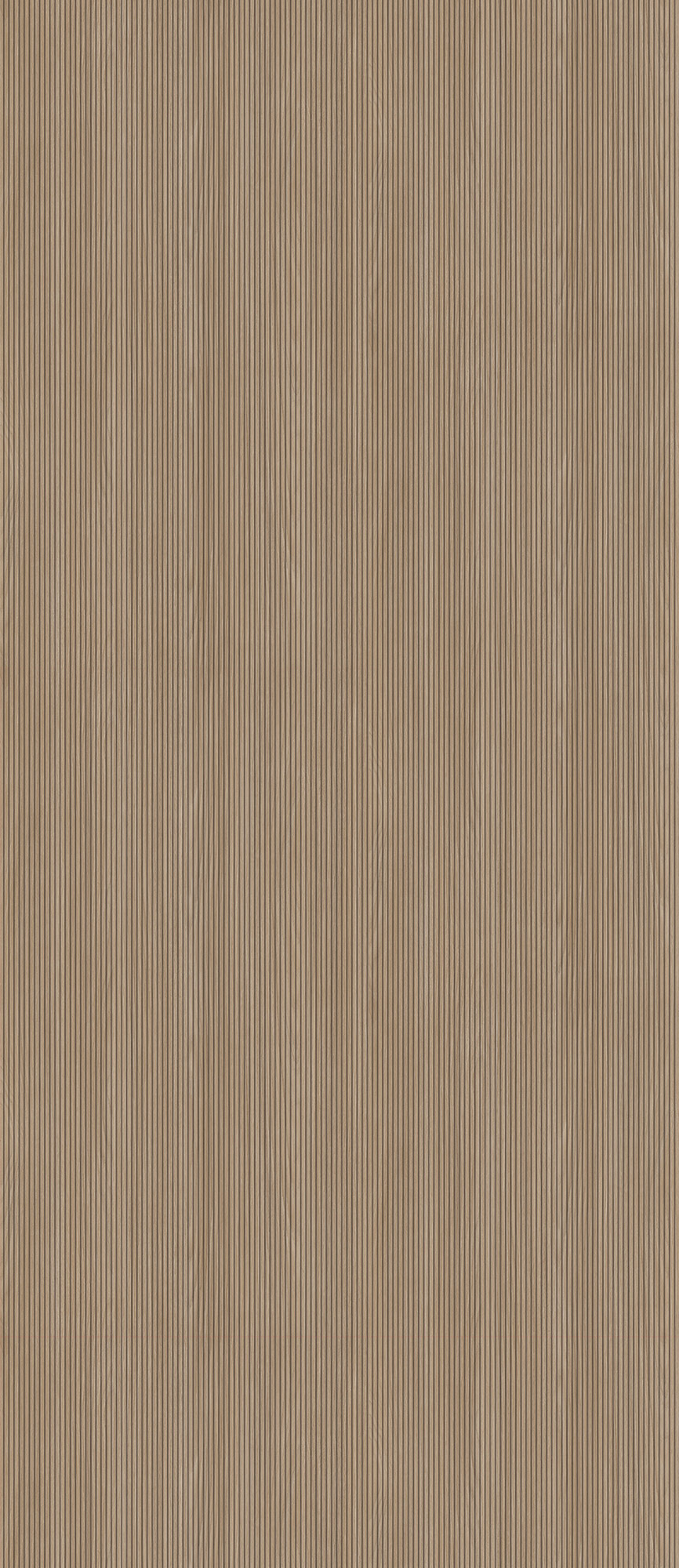 Ribbed Oak