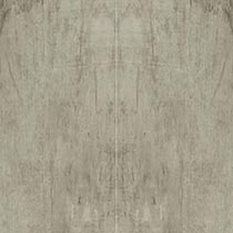 Natural Gray Concrete