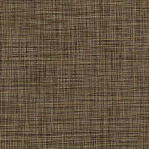 Bronze Haze Linea
